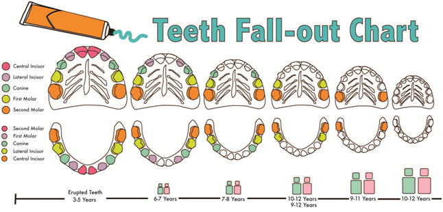 FALL-OUT-CHART